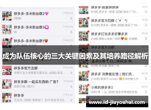 成为队伍核心的三大关键因素及其培养路径解析